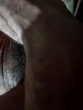 carlos40404 online show from October 2025 04:03:02 AM