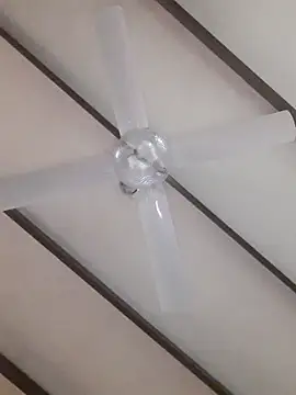 TuBandi2 online show from November 2025 09:48:02 PM