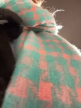 MerlinDave online show from January 2025 01:42:02 AM