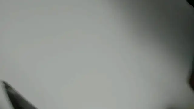 canela wet online show from February 2025 09:56:02 AM