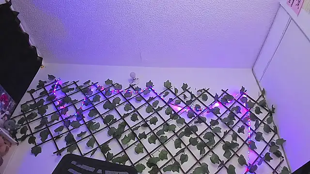 Pucaa  online show from January 2025 12:46:01 AM