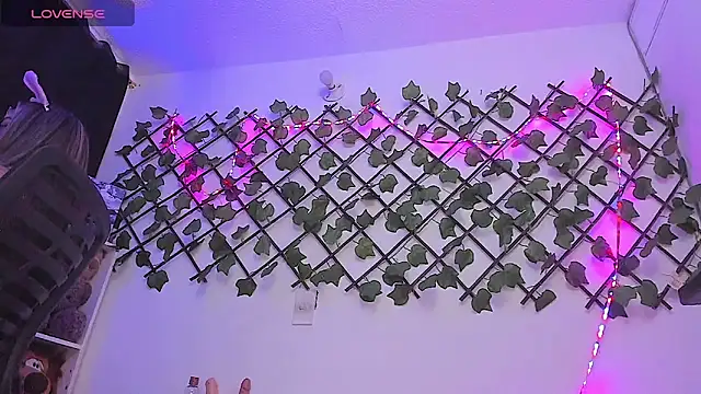 Pucaa  online show from February 2025 12:43:02 AM