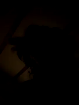 Snapshot of habbockwiesau chatting on November 2025 09:03:02 PM habbockwiesau online show from November 2025 09:03:02 PM