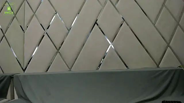 Snapshot of BrandonNorris chatting on January 2025 03:48:02 AM BrandonNorris online show from January 2025 03:48:02 AM