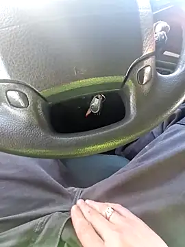 smartzy online show from March 2026 08:53:01 AM