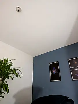 SilvaBranko online show from November 2025 01:04:02 AM