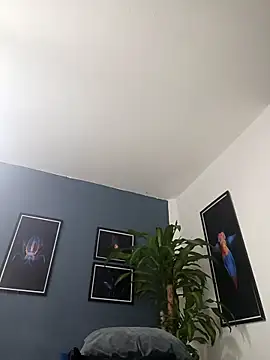 SilvaBranko online show from December 2025 02:07:02 AM