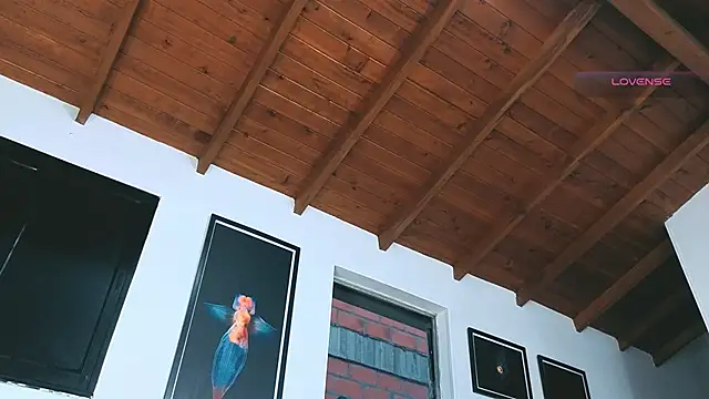 SilvaBranko online show from March 2026 11:09:01 PM