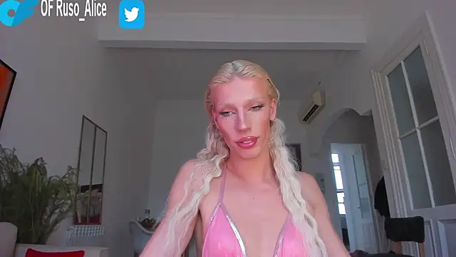 Snapshot of AliceSnowCatt chatting on February 2025 03:52:02 PM AliceSnowCatt online show from February 2025 03:52:02 PM