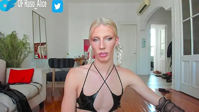 Snapshot of AliceSnowCatt chatting on February 2025 07:29:01 PM AliceSnowCatt online show from February 2025 07:29:01 PM