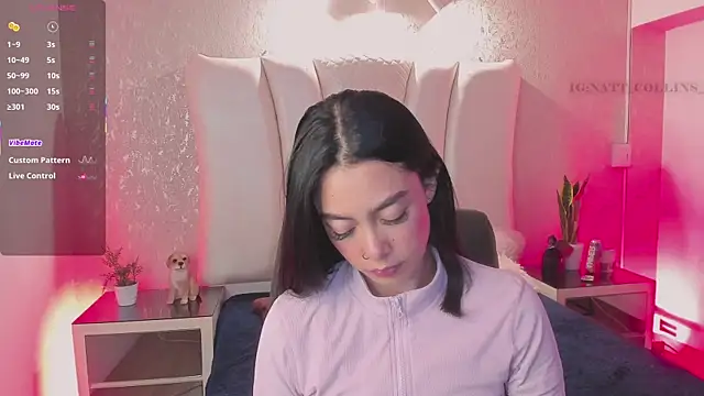 Natt collins online show from July 2026 04:17:02 AM