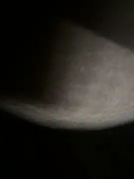 Bongcrush 3 online show from March 2025 01:17:02 AM