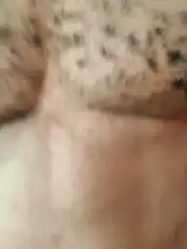 Snapshot of Bulletact chatting on February 2026 01:10:01 PM Bulletact online show from February 2026 01:10:01 PM