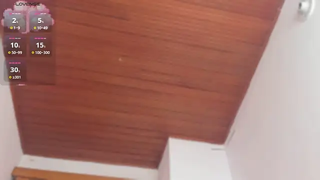 Snapshot of Gingerdoll__ chatting on May 2026 02:08:02 AM Gingerdoll online show from May 2026 02:08:02 AM