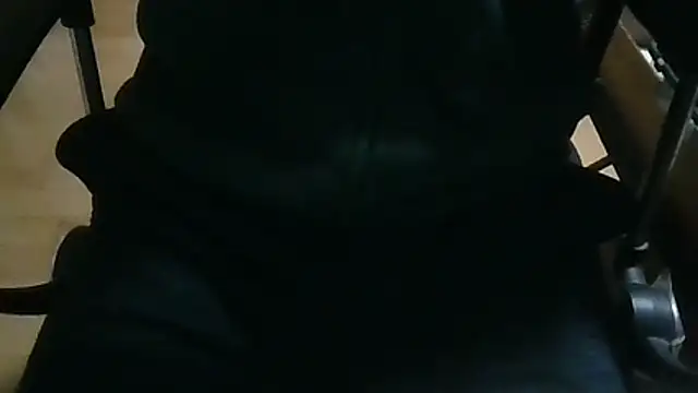 shibayam online show from April 2026 04:29:01 PM