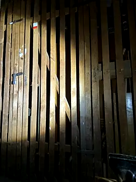 czruz online show from September 2025 03:35:02 PM