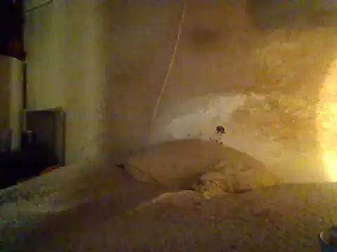 Nightshade7712 online show from February 2025 07:06:02 AM