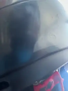 Bonniepark online show from March 2025 12:11:02 PM