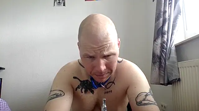 Snapshot of gaywolf426 chatting on May 2026 08:43:02 AM gaywolf426 online show from May 2026 08:43:02 AM