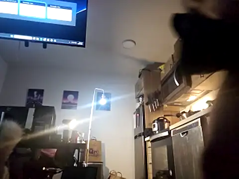 Armyexhibitionistvet online show from November 2025 04:52:01 PM