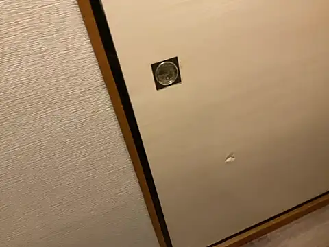 nathi ko xo online show from January 2025 12:38:02 PM