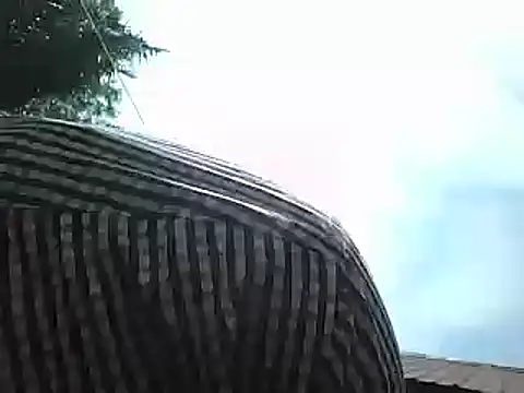 Javan  online show from January 2025 08:41:01 AM