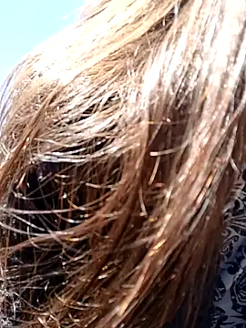 Violeta 12- online show from December 2024 03:58:01 PM