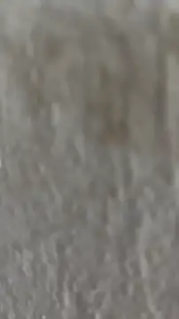 Ishikarana online show from October 2025 05:05:01 AM