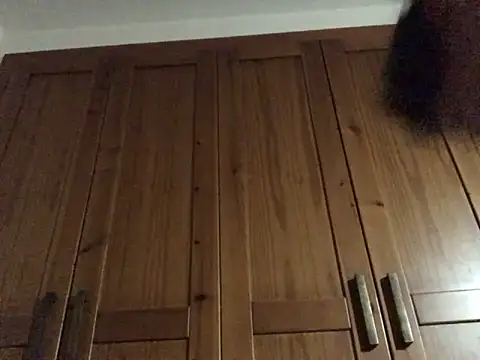 Snapshot of Dicksexhandjob chatting on December 2024 12:23:01 AM Dicksexhandjob online show from December 2024 12:23:01 AM