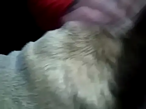 missthickness35 Pika online show from January 2025 03:45:02 AM