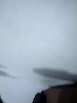 Flaquito pitudo online show from December 2024 01:03:01 AM