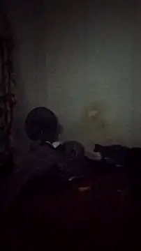 Flaquito pitudo online show from December 2024 08:22:01 AM