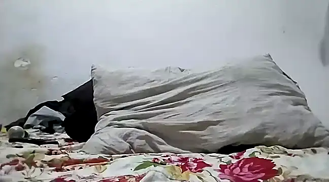 Flaquito pitudo online show from December 2024 11:08:01 PM