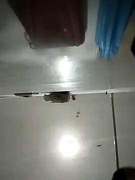 Flaquito pitudo online show from March 2025 11:50:01 AM