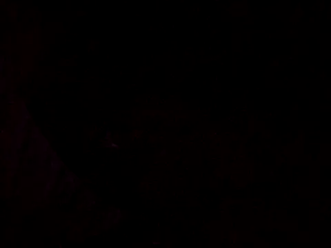 Flaquito pitudo online show from March 2025 08:30:01 AM