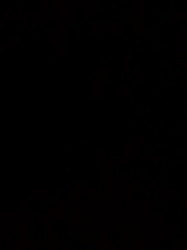 Flaquito pitudo online show from March 2025 10:36:01 AM