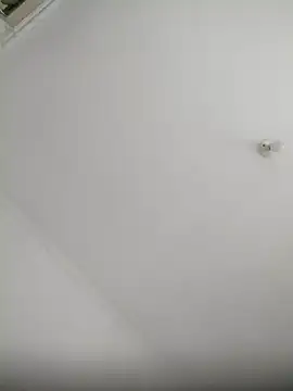 Robertao20cm online show from December 2024 06:43:01 AM