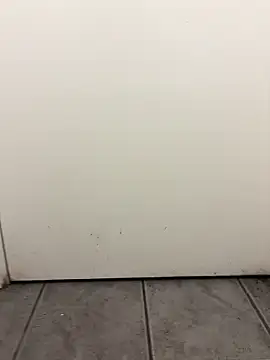 Snapshot of cussy007 chatting on January 2025 08:18:02 AM cussy007 online show from January 2025 08:18:02 AM