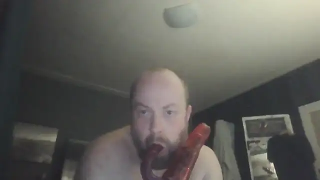 Prehistorixxx2686 online show from February 2026 11:21:02 PM