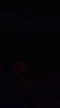 pachapeter online show from October 2025 08:29:01 PM