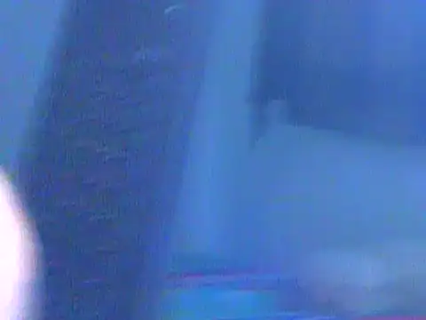 Ian zaenzz online show from December 2024 08:38:01 PM