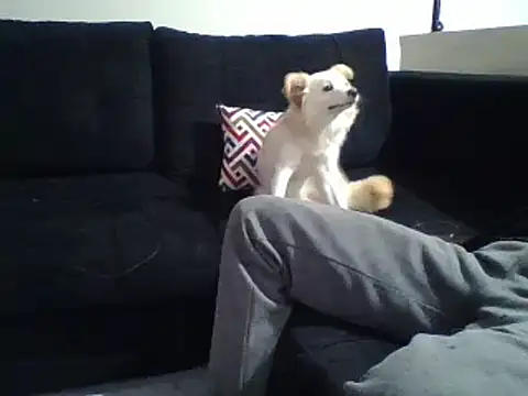 KikiLovesD online show from December 2024 08:34:02 PM