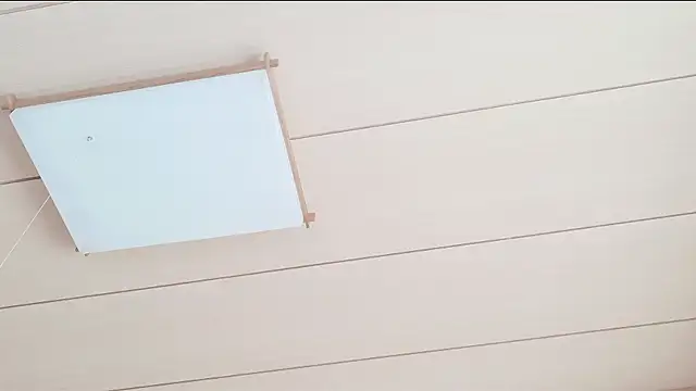 Snapshot of xxArisaxx chatting on March 2026 05:42:01 AM xxArisaxx online show from March 2026 05:42:01 AM