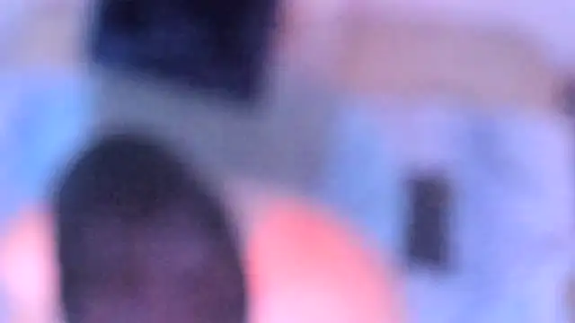 Snapshot of stillwild chatting on December 2025 10:20:01 AM stillwild online show from December 2025 10:20:01 AM