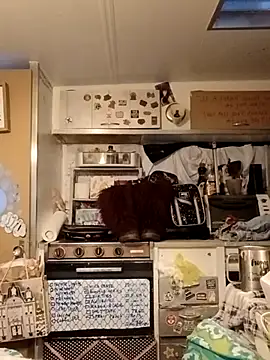 whitetrashdirtyslut online show from March 2026 01:14:02 PM