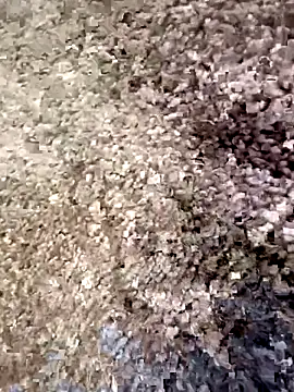 christian0009 online show from December 2025 04:46:02 PM