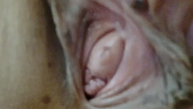 sonyx online show from March 2026 12:18:01 PM