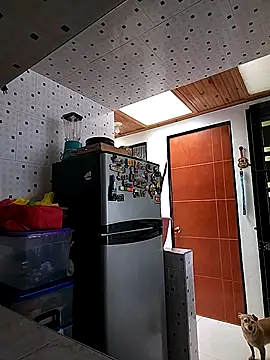 Mariam Gomezxxx online show from October 2025 03:53:01 PM