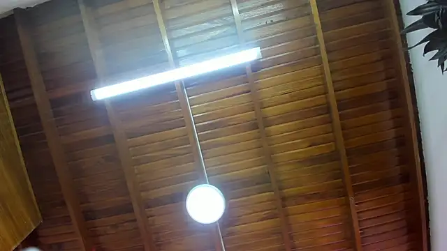 Snapshot of Levy_Steve chatting on November 2025 06:36:02 AM Levy Steve online show from November 2025 06:36:02 AM