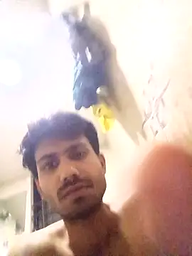 Snapshot of nikshows chatting on October 2025 03:08:02 PM nikshows online show from October 2025 03:08:02 PM